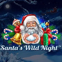 Santas-Wild-Night